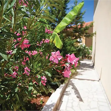 Apartament Beautiful In *