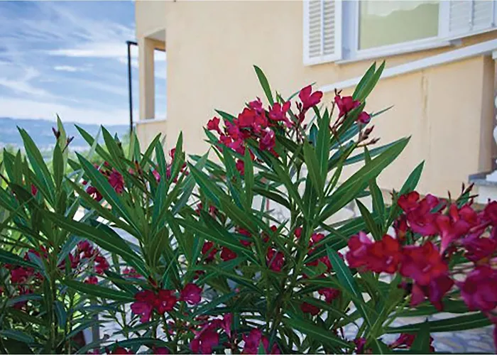 Appartamento Beautiful In